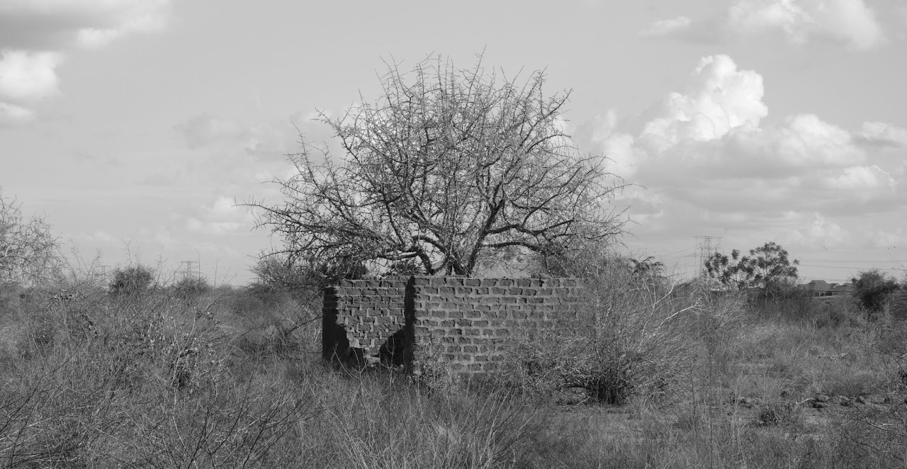 Other Photos — image 5