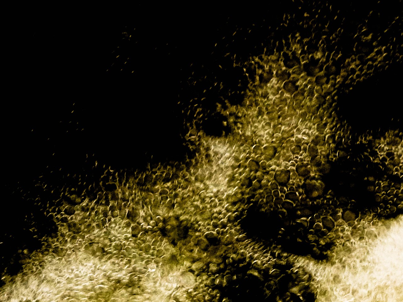 Free Water — image 2
