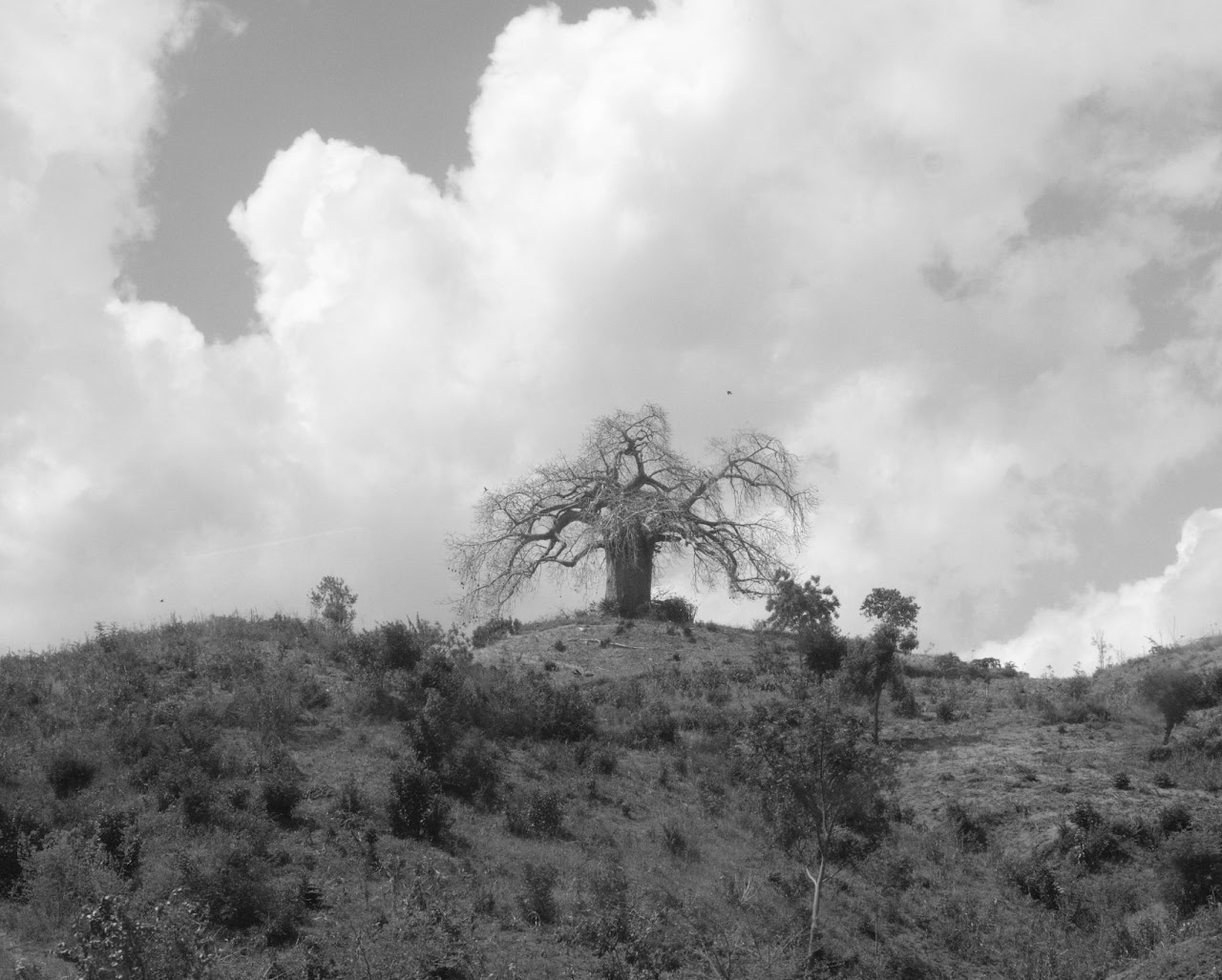 Other Photos — image 9