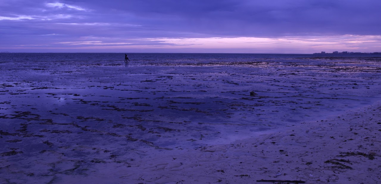 Other Photos — image 13