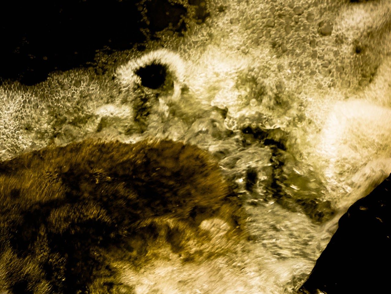 Free Water — image 3