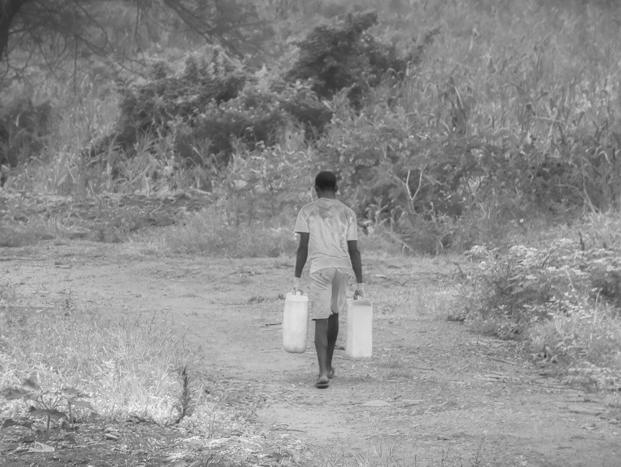 Free Water — image 6