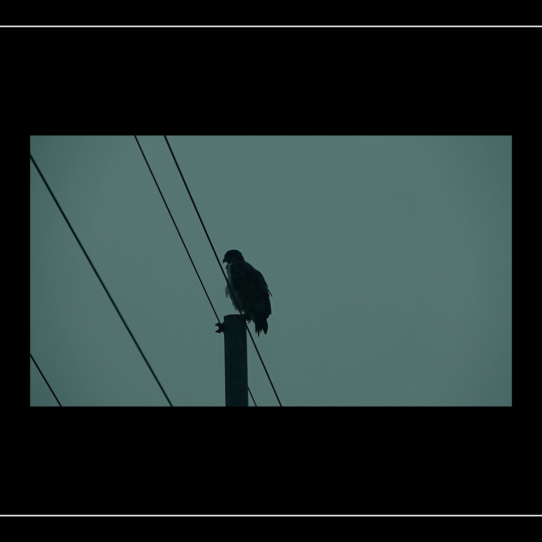 Video art piece 7 by Mvfasta
